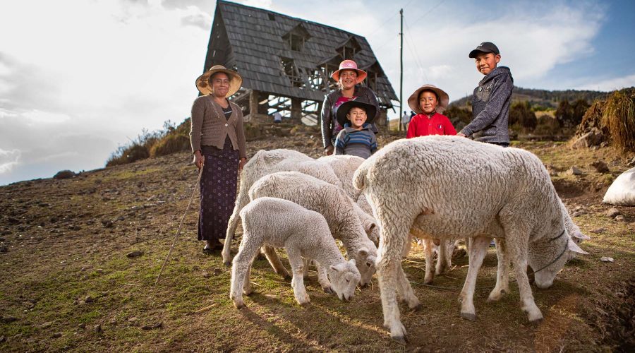 Construyendo Medios de Vida Seguros - World Vision Guatemala