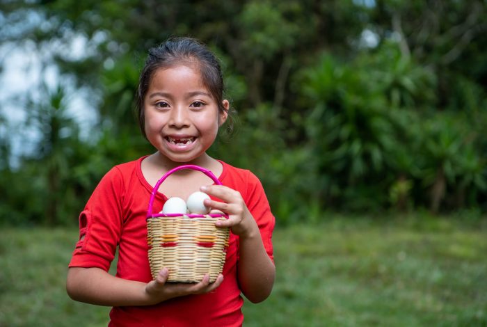 Seguridad Alimentaria y Nutrición - World Vision Guatemala