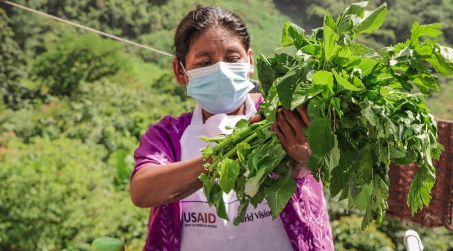 Proyecto Ruta de la Esperanza y Desarrollo (RED) - World Vision Guatemala